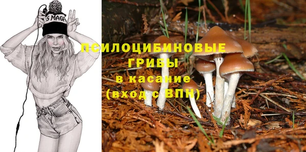 ешки Балабаново